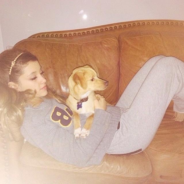 Arianagrande Photograph - ||#arianagrande #1 by Cherlee Games
