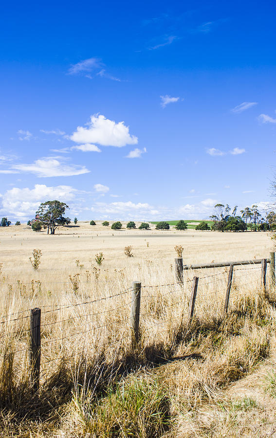 Arid agricultural landscape in South Tasmania #1 Photograph by Jorgo Photography
