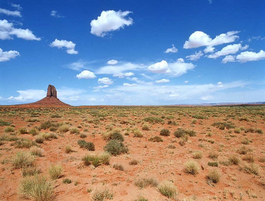 Arid Landscape #1 Photograph by Peter Falkner/science Photo Library 