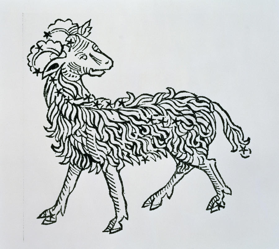 Aries An Illustration From The Poeticon Painting by Italian School