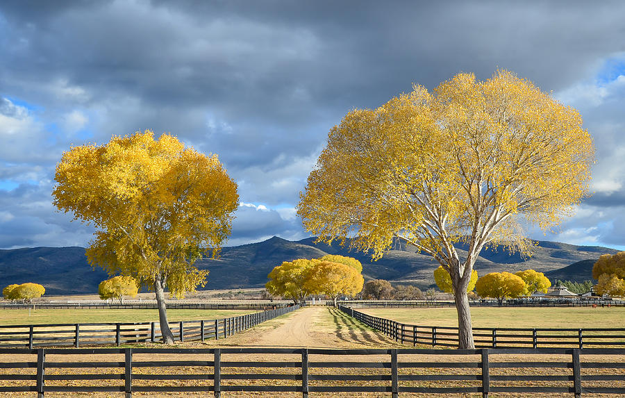 Arizona Horse Ranch #1 Photograph by David Downs
