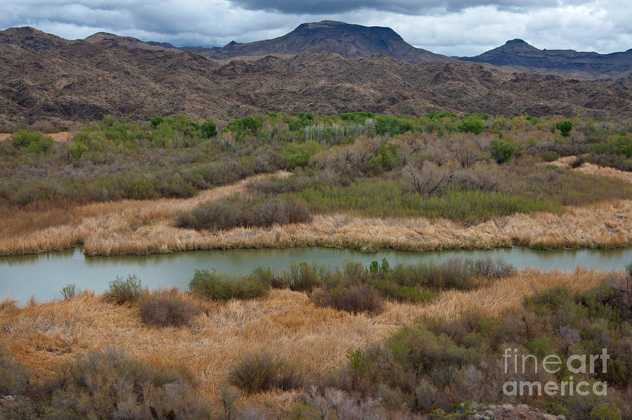 Arizona Landscape #1 Photograph by Richard and Ellen Thane