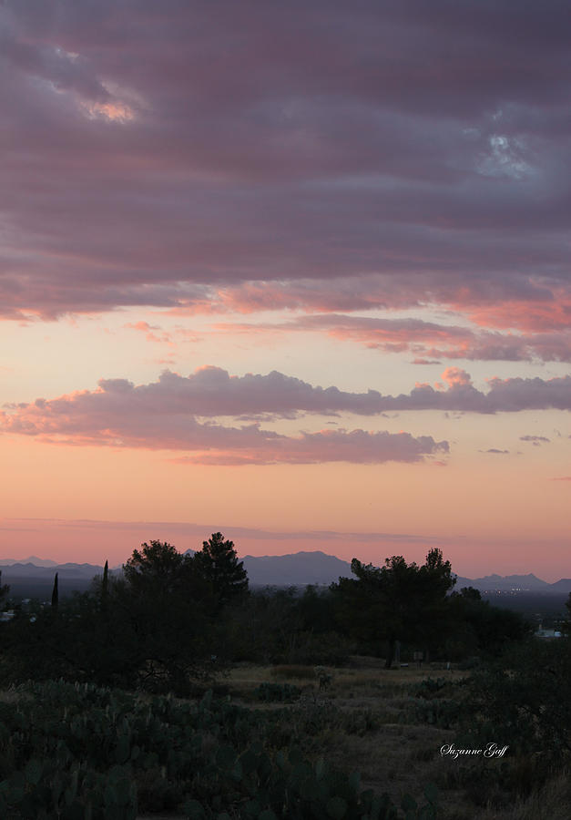 Arizona Sunset III #1 Photograph by Suzanne Gaff