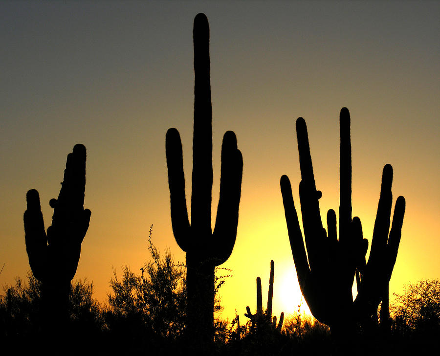 Arizona Sunset #1 Photograph by Robert Lozen