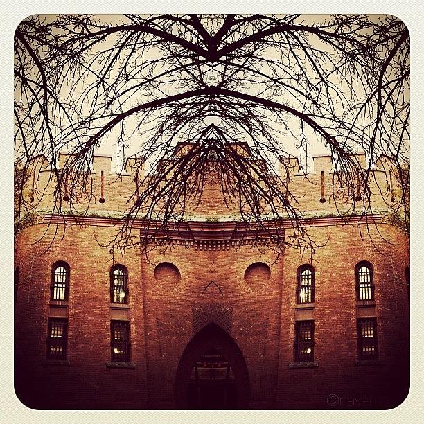 Architecture Photograph - Armory Symmetry #1 by Natasha Marco