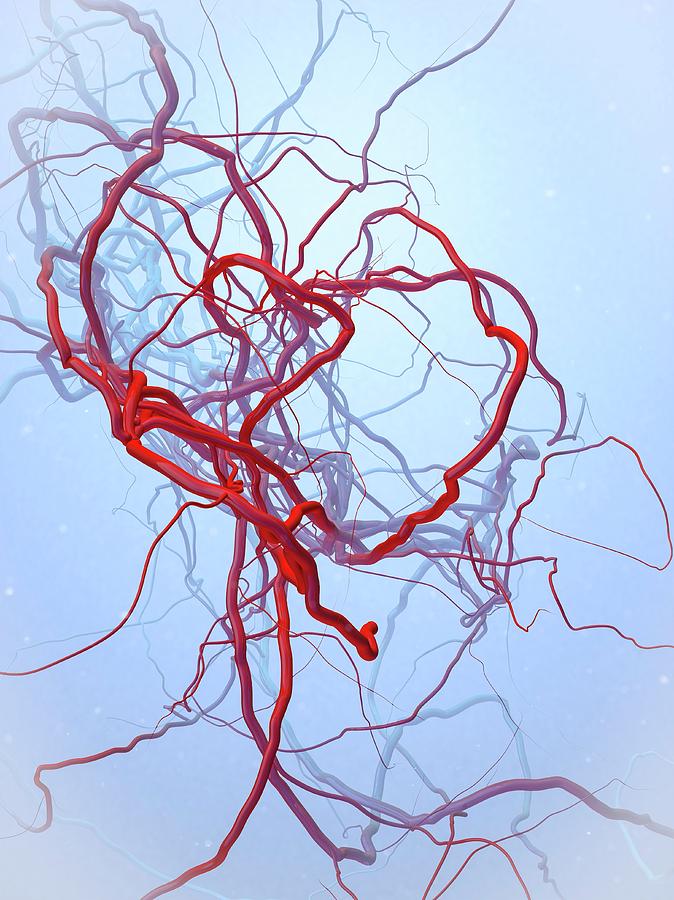 Arteries #1 Photograph by Maurizio De Angelis