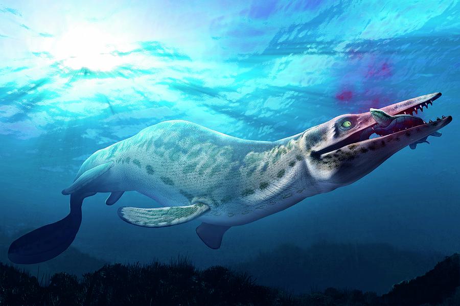 Artwork Of A Mosasaur Photograph by Mark Garlick/science Photo Library ...