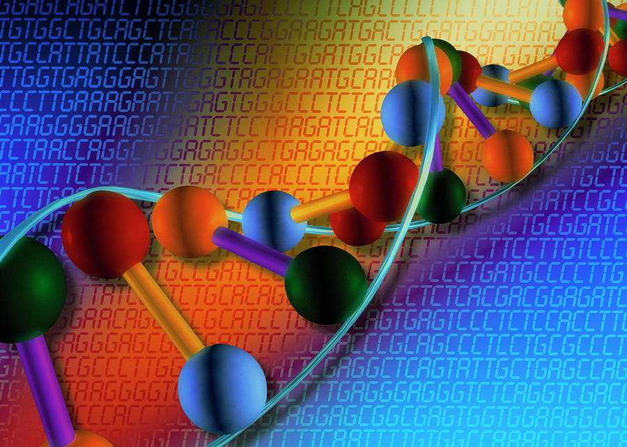 Artwork Of Dna Photograph By Alfred Pasiekascience Photo Library