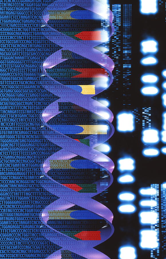 Artwork Of Dna Molecule With Genetic Sequences Photograph by Alfred ...