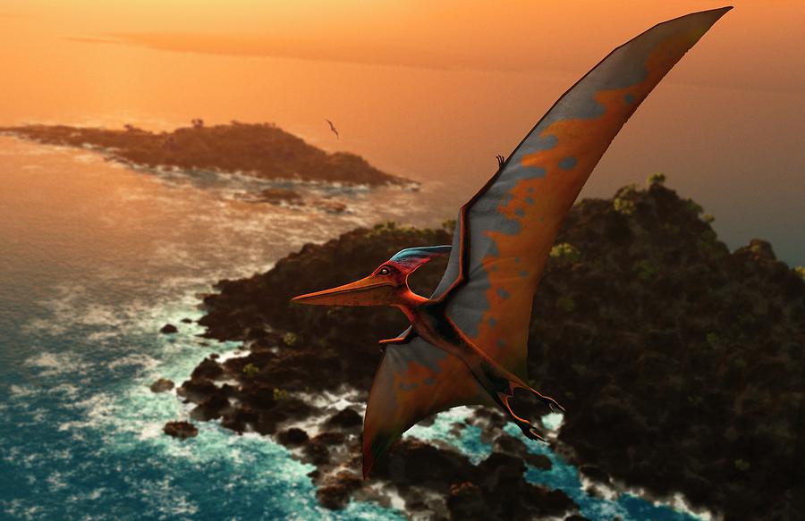 Artwork Of Pteranodon Sternbergi Photograph by Mark Garlick/science ...