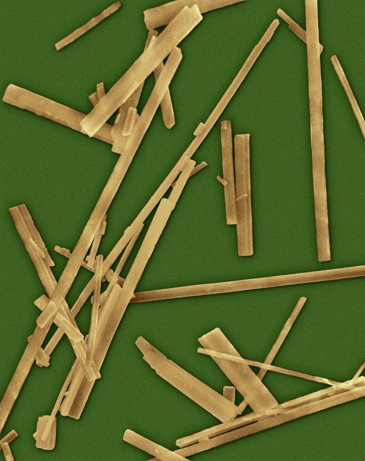 Asbestos Fibres #1 Photograph by Dennis Kunkel Microscopy/science Photo Library