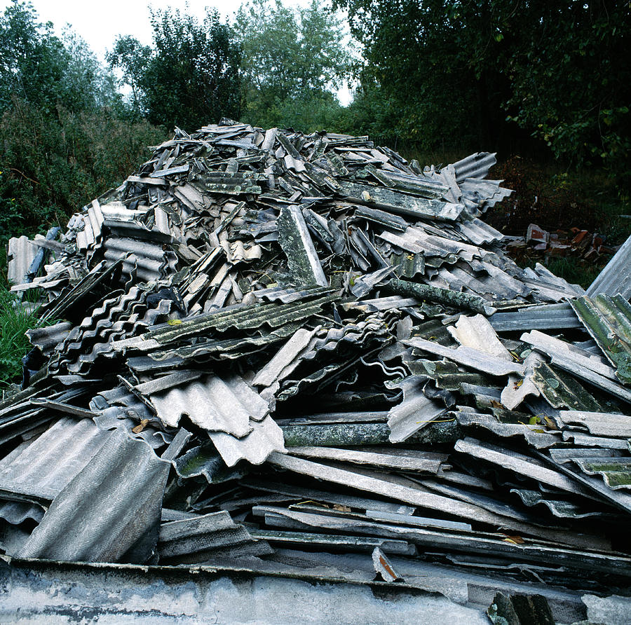 Asbestos Waste Photograph by Robert Brook/science Photo Library - Fine ...