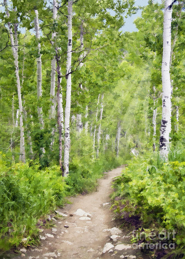 Tree Photograph - Aspen Path Impasto #1 by Sharon Foster
