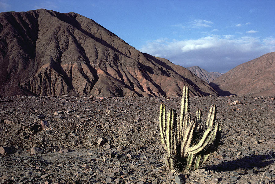 Atacama Desert Peru #1 Photograph by Tui De Roy