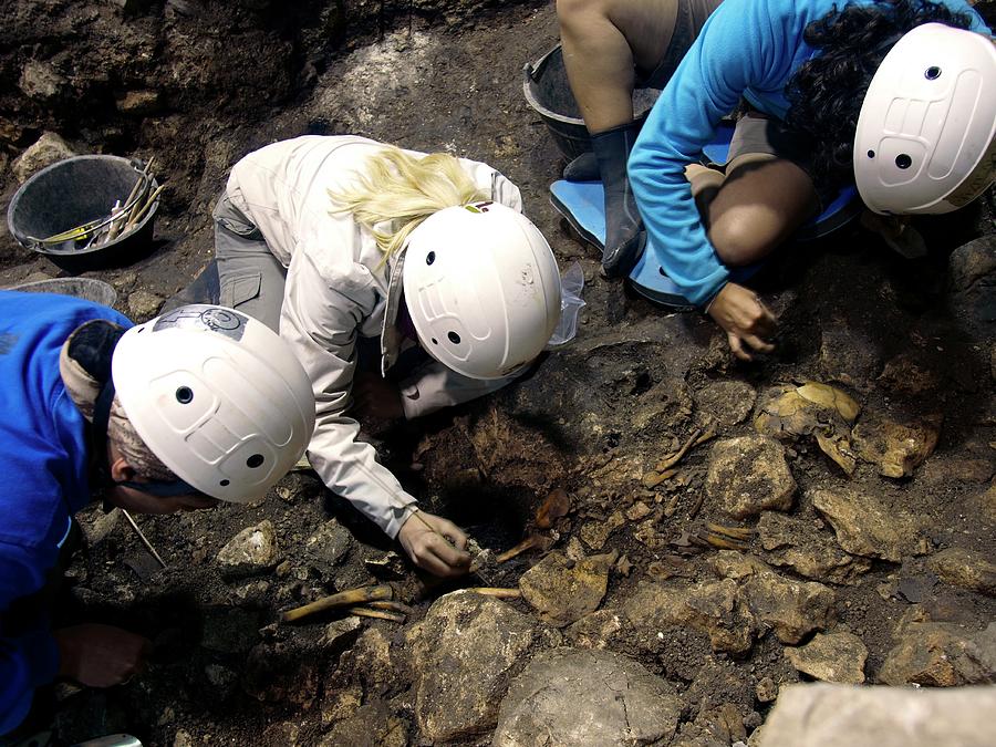 fossil excavation sites