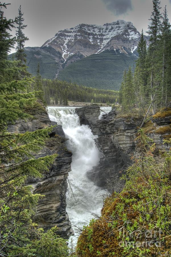 Athabasca Falls 2 Photograph by David Birchall