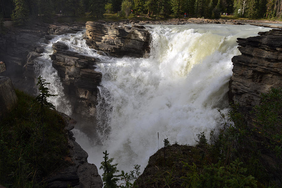 Athabasca Falls #1 Photograph by Yue Wang