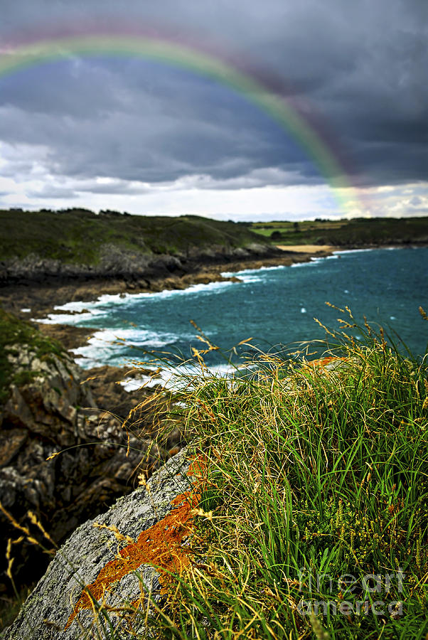 Summer Photograph - Atlantic coast in Brittany 1 by Elena Elisseeva