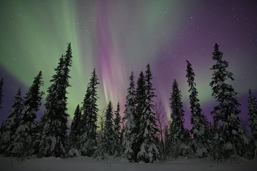 Aurora Borealis #1 Photograph by Antonyspencer