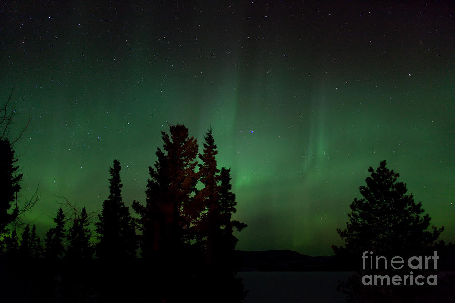 Christmas Photograph - Aurora Borealis Northern Lights display in winter #1 by Stephan Pietzko