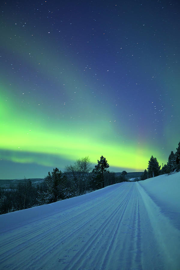 Aurora Borealis Over A Road Through #1 Photograph by Sara winter