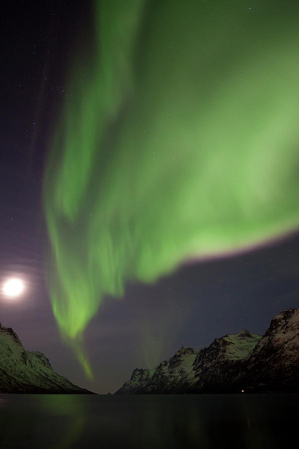 Aurora Borealis Over Ersfjordbotn #1 Photograph by Antonyspencer