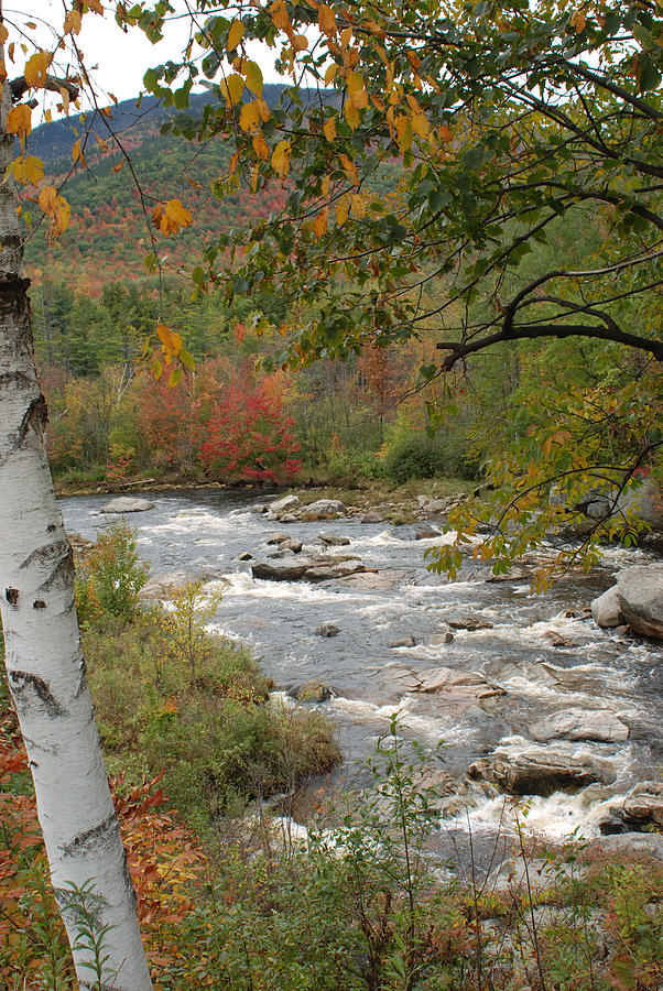 Ausable River by David Seguin Ausable River by David Seguin