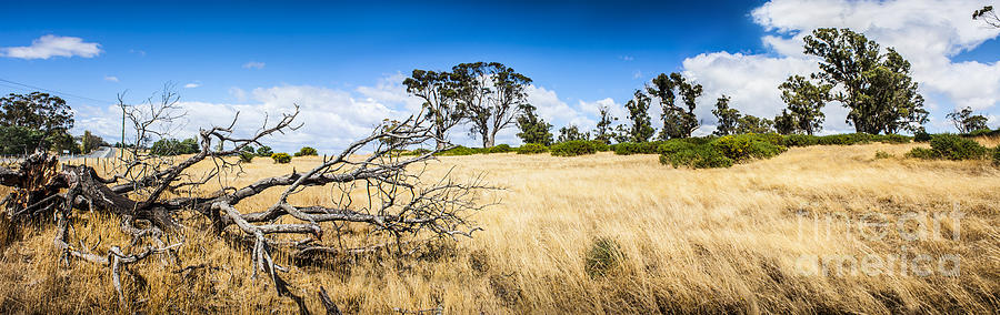 Australia summer landscape of rural Tasmania #1 Photograph by Jorgo Photography