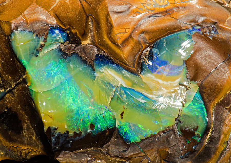 Australian Opal #8 Photograph by Millard H Sharp