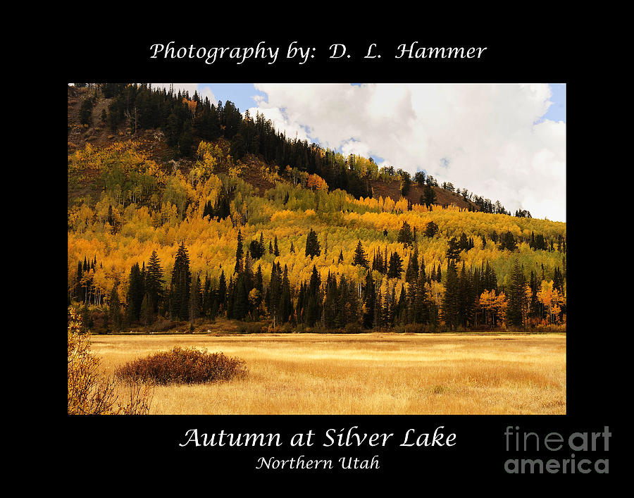 Autumn at Silver Lake #1 Photograph by Dennis Hammer