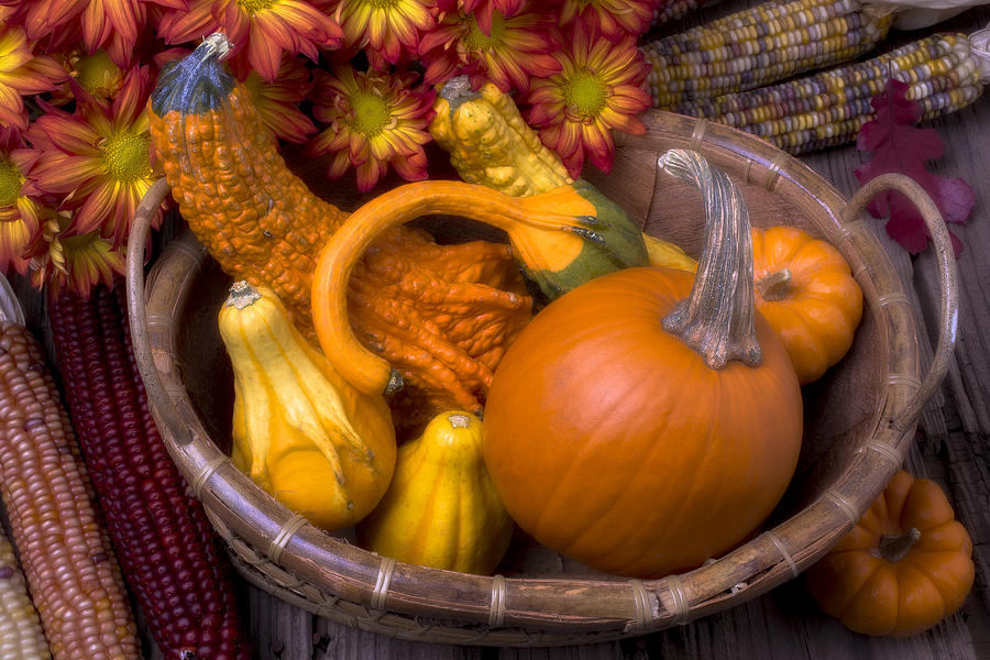 Fall Photograph - Autumn Basket #2 by Garry Gay