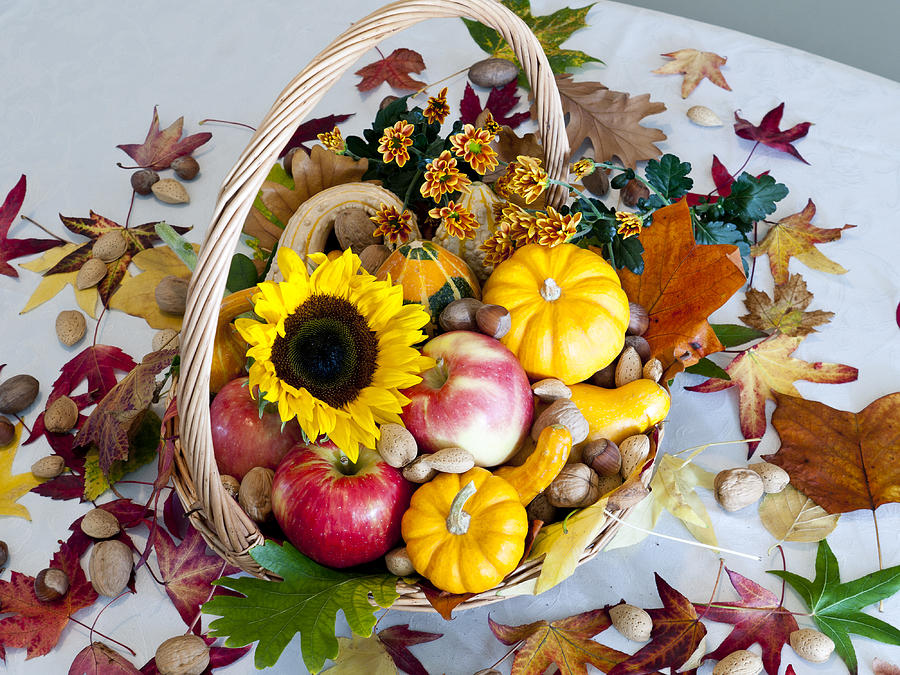 Fall Photograph - Autumn Bounty #1 by Rae Tucker