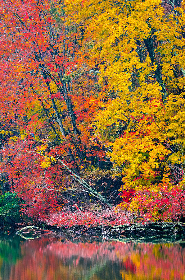 Autumn #1 Photograph by Brian Stevens