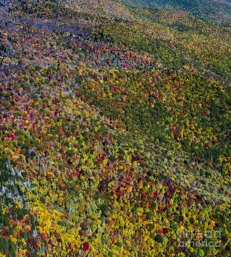 Autumn Colors Along The Blue Ridge Parkway in Western North Carolina #2 Photograph by David Oppenheimer