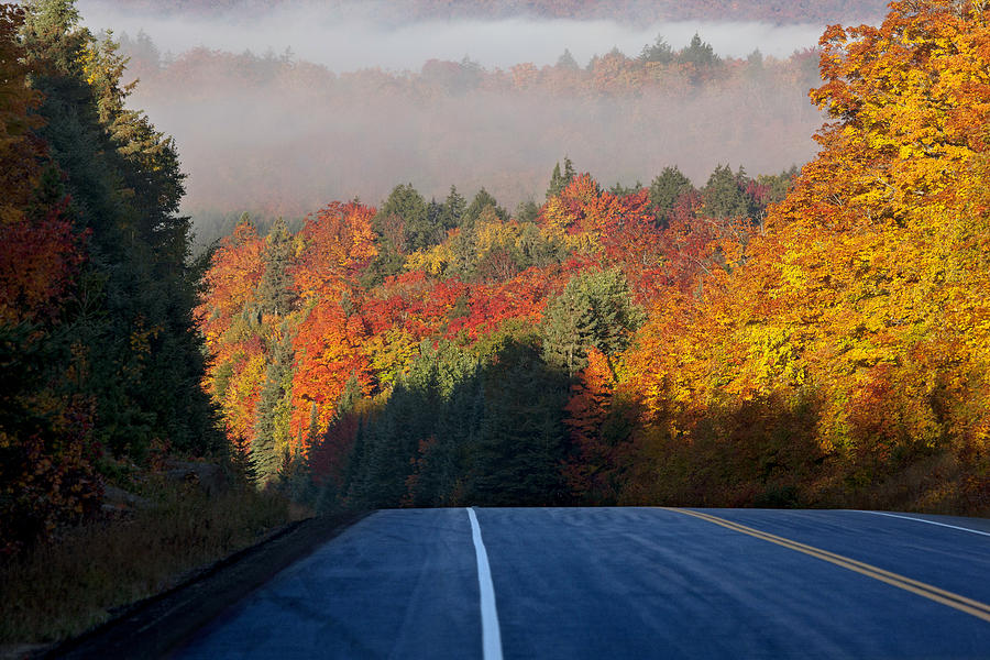 Autumn Colors and road  #1 Photograph by Mark Duffy