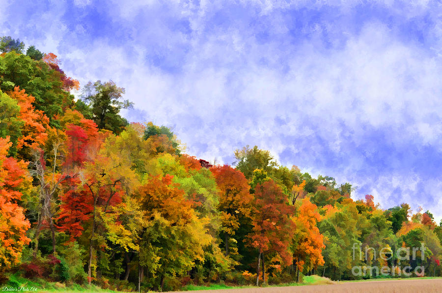 Nature Photograph - Autumn Colors Apearing I - Digital Paint #1 by Debbie Portwood