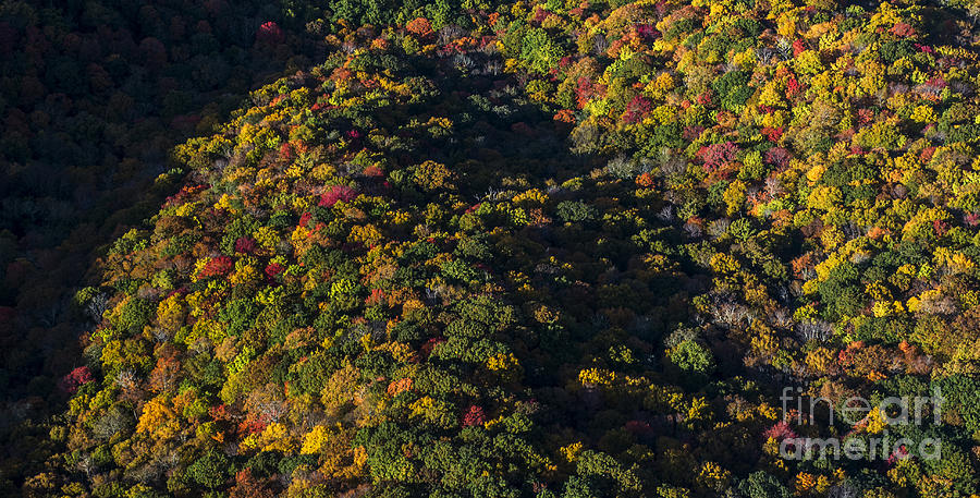 Autumn Colors at Craggy Gardens along the Blue Ridge Parkway #2 Photograph by David Oppenheimer