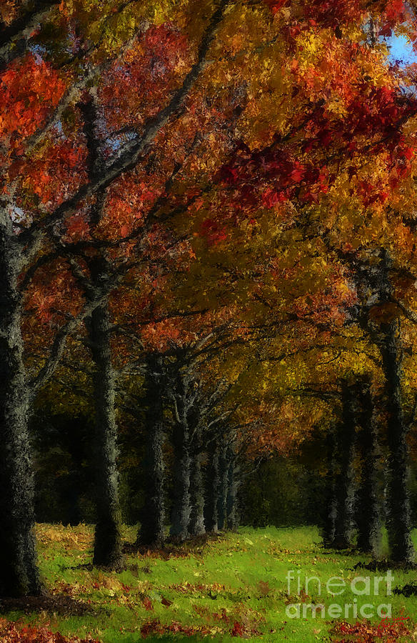 Autumn Colors #1 Photograph by Jeff Breiman