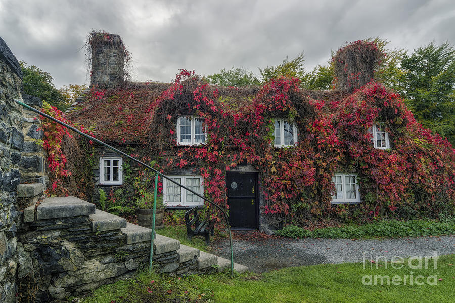 Tree Photograph - Autumn Cottage #1 by Ian Mitchell