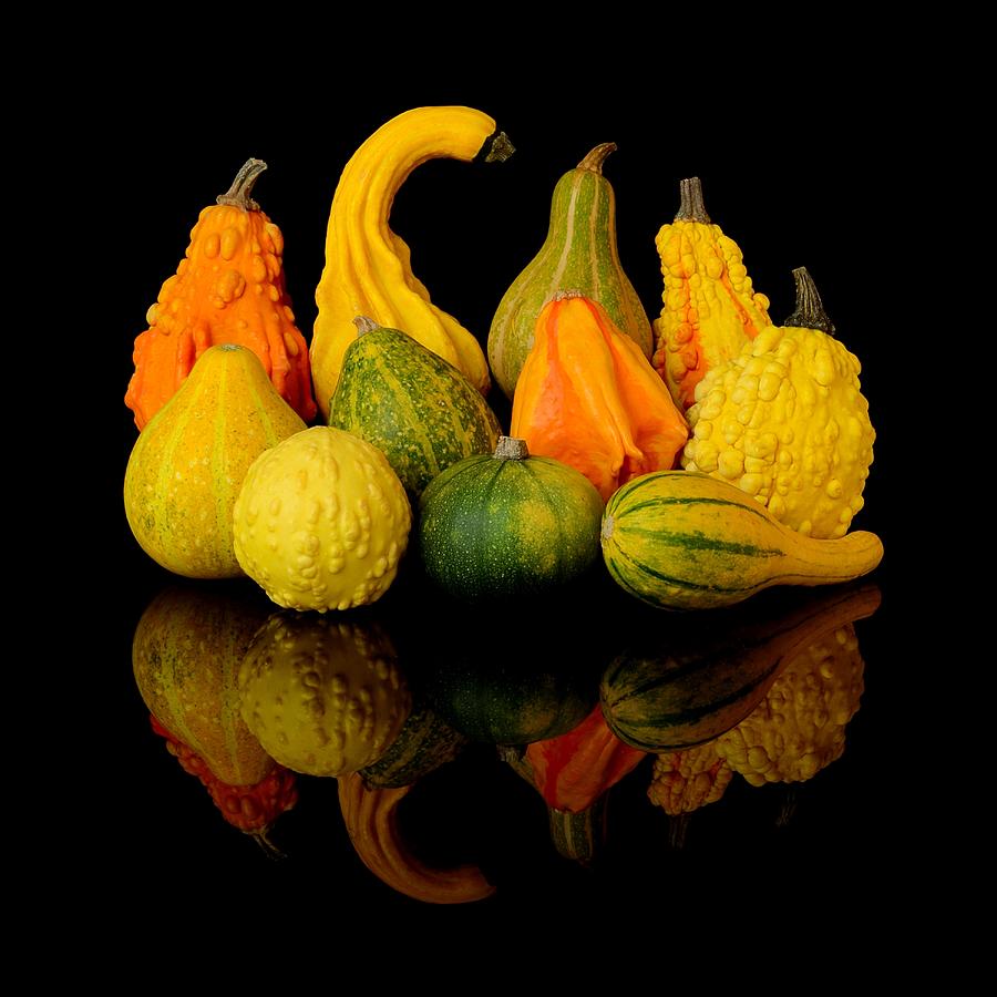 Autumn Harvest Gourds Photograph by Jim Hughes