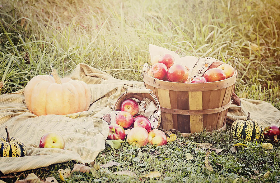 Autumn Harvest #2 Photograph by Heather Applegate
