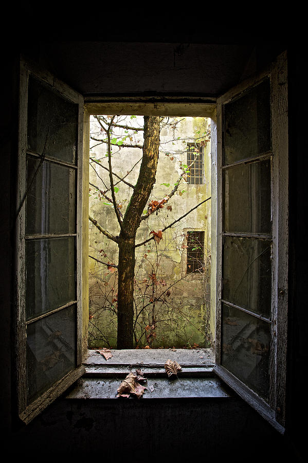 Autumn In Asylum Photograph By Marco Tagliarino - Fine Art America