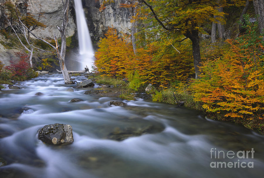 Autumn In Los Glaciares National Park #1 Photograph by John Shaw