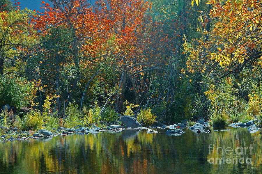 Autumn In Oak Creek Canyon #1 Photograph by Richard and Ellen Thane