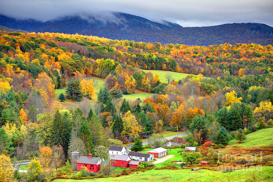 Autumn In The Berkshires Photograph by Denis Tangney Jr