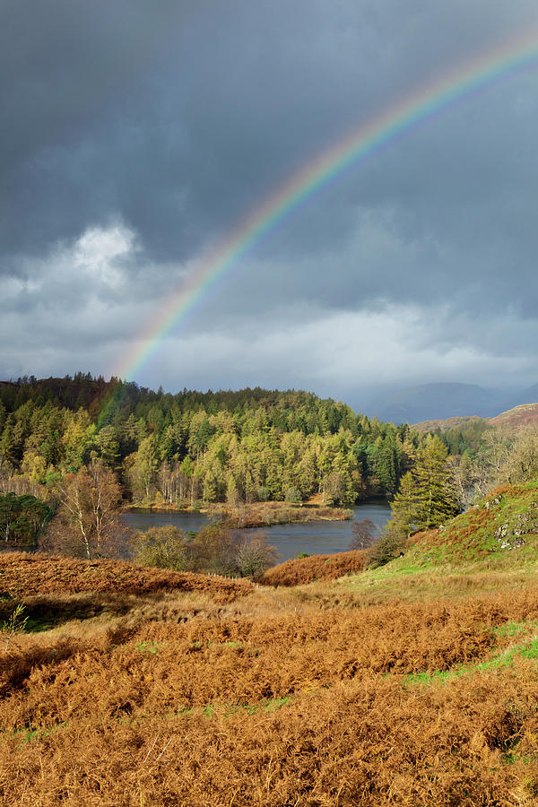 Autumn In The English Lake District - #1 Photograph by Stephen Dorey