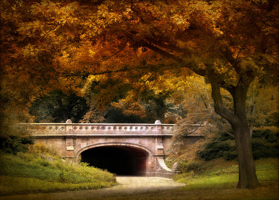 Autumn in the Park #1 Photograph by Jessica Jenney
