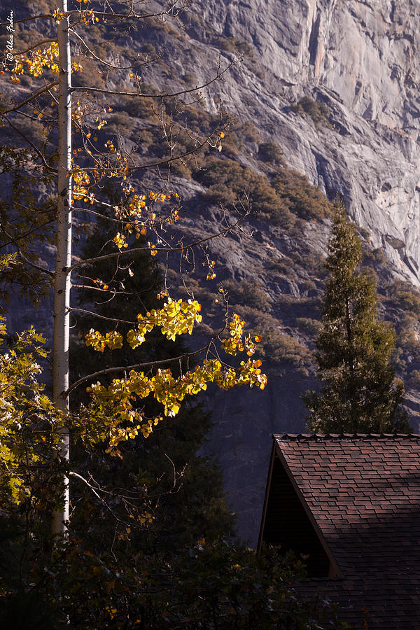 Autumn in Yosemite #1 Photograph by Alexander Fedin