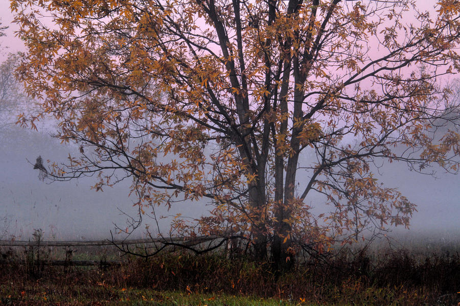 Autumn Landscape 7 #1 Photograph by Jim Vance
