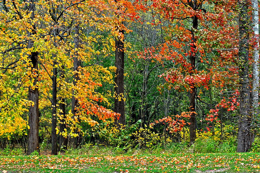 Autumn Landscape Photograph by Frozen in Time Fine Art Photography